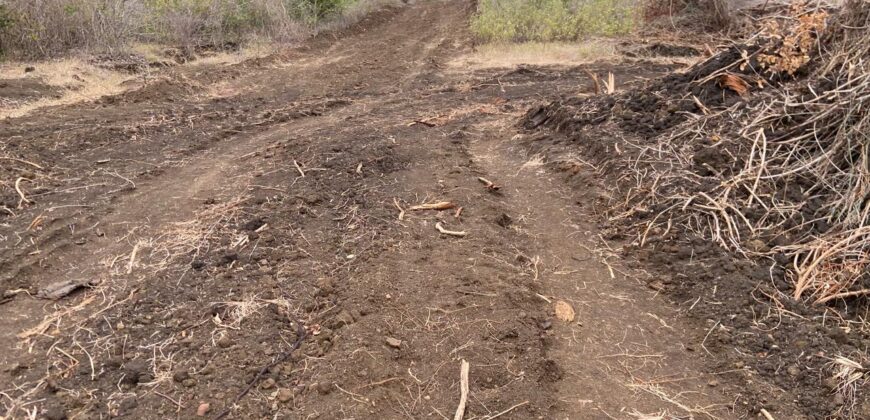 Malindi Fertile Land For Farming