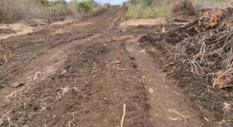 Malindi Fertile Land For Farming