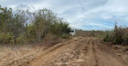 Malindi Fertile Land For Farming