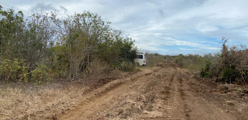 Malindi Fertile Land For Farming