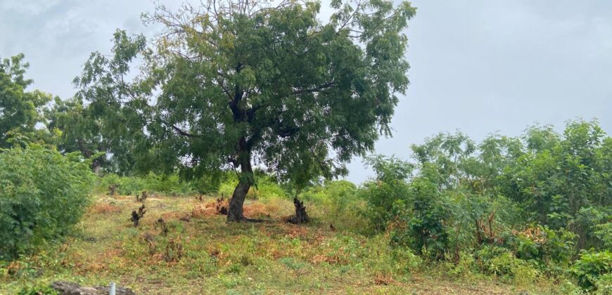 Prime Quarter Acre Land Near The Beach