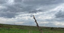 Prime Fertile And Residential Plot