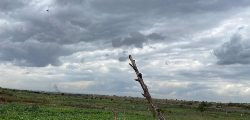 Prime Fertile And Residential Plot