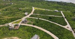 Marijani Estate Vipingo Beach Plots