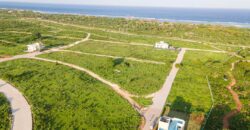 Marijani Estate Vipingo Beach Plots