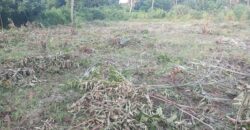 Diani Affordable Residential Plots