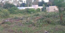 Diani Affordable Residential Plots