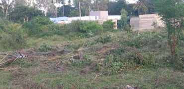 Diani Affordable Residential Plots