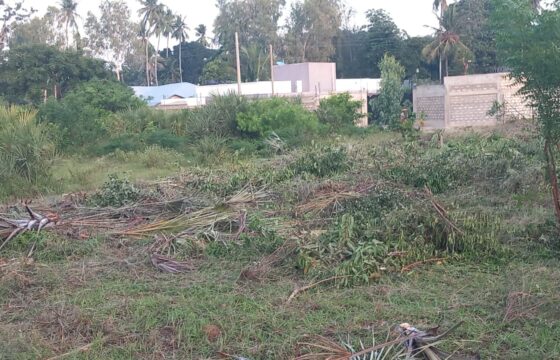 Diani Affordable Residential Plots