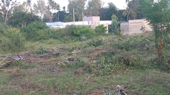 Diani Affordable Residential Plots