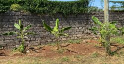 2 Acres All Fenced Prime Land in Mtwapa