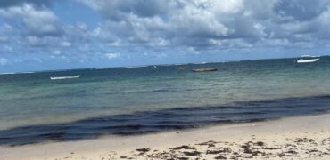 Five Acres Diani Beach Front Land