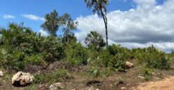 Five Acres Diani Beach Front Land