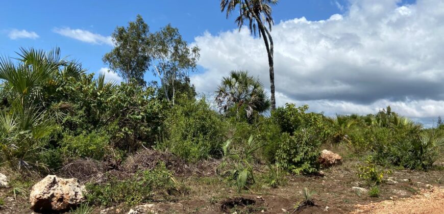 Five Acres Diani Beach Front Land