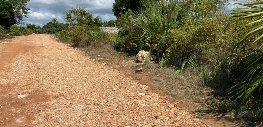 Five Acres Diani Beach Front Land