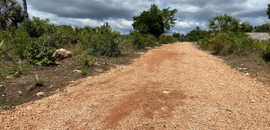 Five Acres Diani Beach Front Land