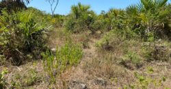 Five Acres Diani Beach Front Land