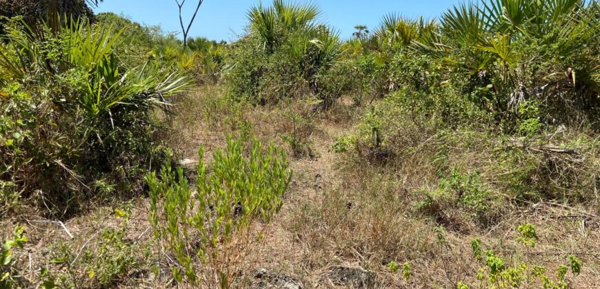 Five Acres Diani Beach Front Land