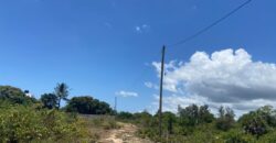 Five Acres Diani Beach Front Land