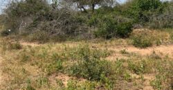 Affordable 15 Acres Farm land For Sale in Malindi