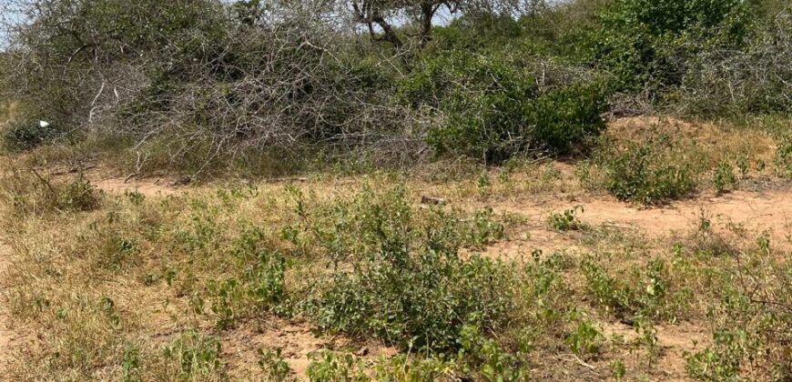 Affordable 15 Acres Farm land For Sale in Malindi