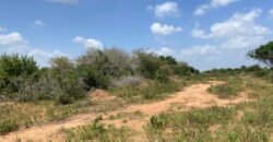 Affordable 15 Acres Farm land For Sale in Malindi