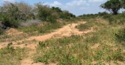 Affordable 15 Acres Farm land For Sale in Malindi