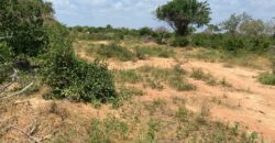 Affordable 15 Acres Farm land For Sale in Malindi