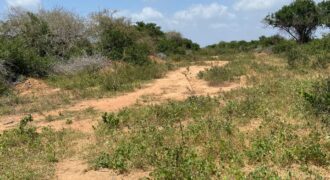 Affordable 15 Acres Farm land For Sale in Malindi