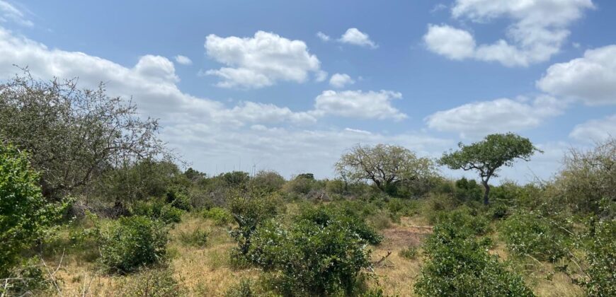 Affordable 15 Acres Farm land For Sale in Malindi