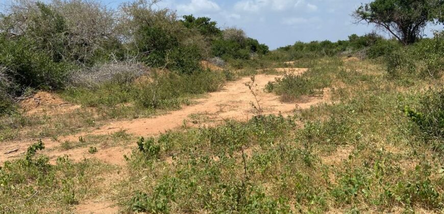 Affordable 15 Acres Farm land For Sale in Malindi