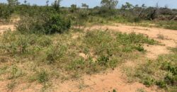 Affordable 15 Acres Farm land For Sale in Malindi