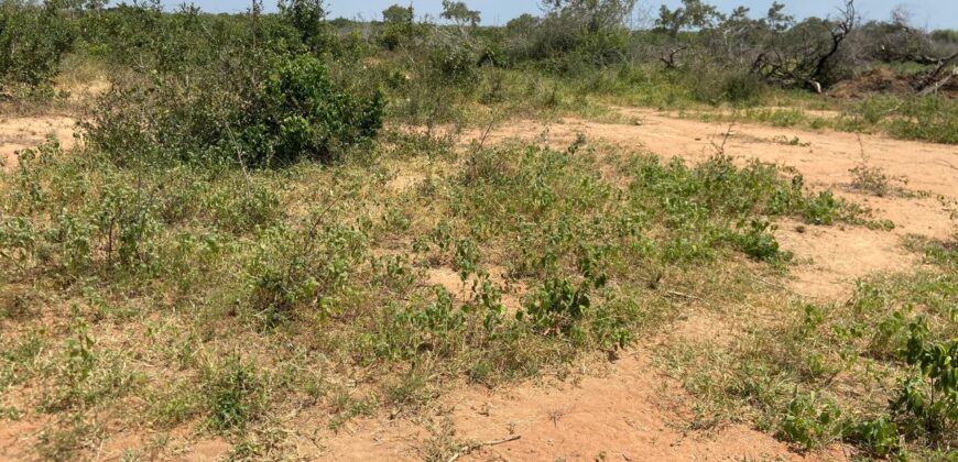 Affordable 15 Acres Farm land For Sale in Malindi