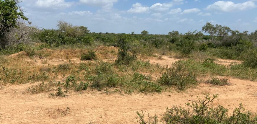 Affordable 15 Acres Farm land For Sale in Malindi