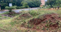 Prime quarter acre Bofa Beach Plots