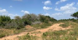 Affordable 1 acre Farm Land Plots For Sale in Malindi