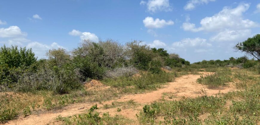 Affordable 1 acre Farm Land Plots For Sale in Malindi