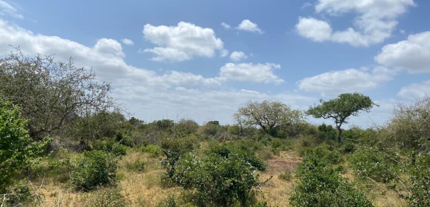 Affordable 1 acre Farm Land Plots For Sale in Malindi