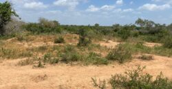 Affordable 1 acre Farm Land Plots For Sale in Malindi