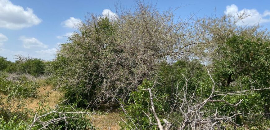 Affordable 1 acre Farm Land Plots For Sale in Malindi