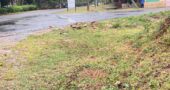Affordable 1 acre Farm Land Plots For Sale in Malindi