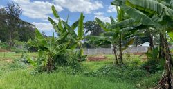 Prime Residential Controlled Gated Community Plots At Kiambu