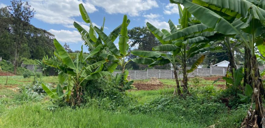 Prime Residential Controlled Gated Community Plots At Kiambu