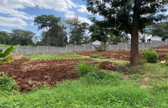 Prime Residential Controlled Gated Community Plots At Kiambu