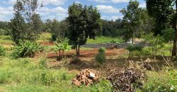Prime Residential Controlled Gated Community Plots At Kiambu