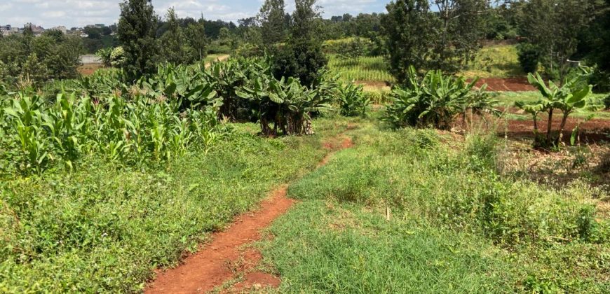 Prime Residential Controlled Gated Community Plots At Kiambu