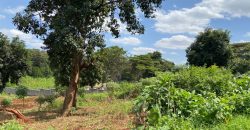 Prime Residential Controlled Gated Community Plots At Kiambu