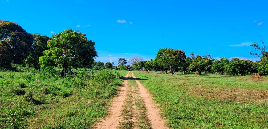 Premium Residential Plots near Malindi Airport