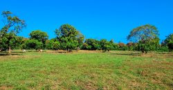 Premium Residential Plots near Malindi Airport