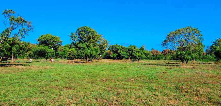 Premium Residential Plots near Malindi Airport